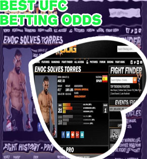 Fight odds