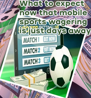 Md sports betting
