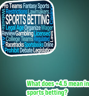 Sports betting for dummies